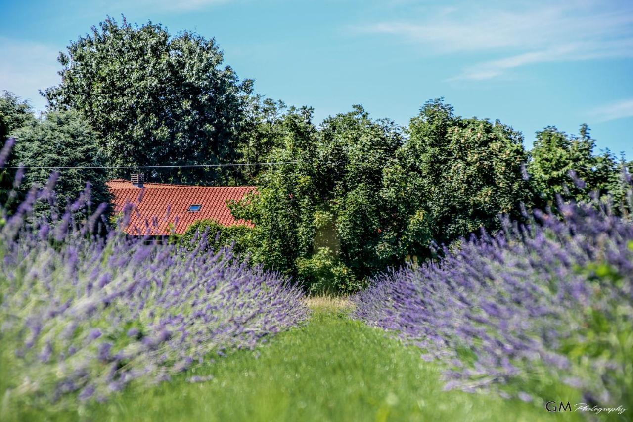 Azienda Agricola La Macina Bregnano 外观 照片